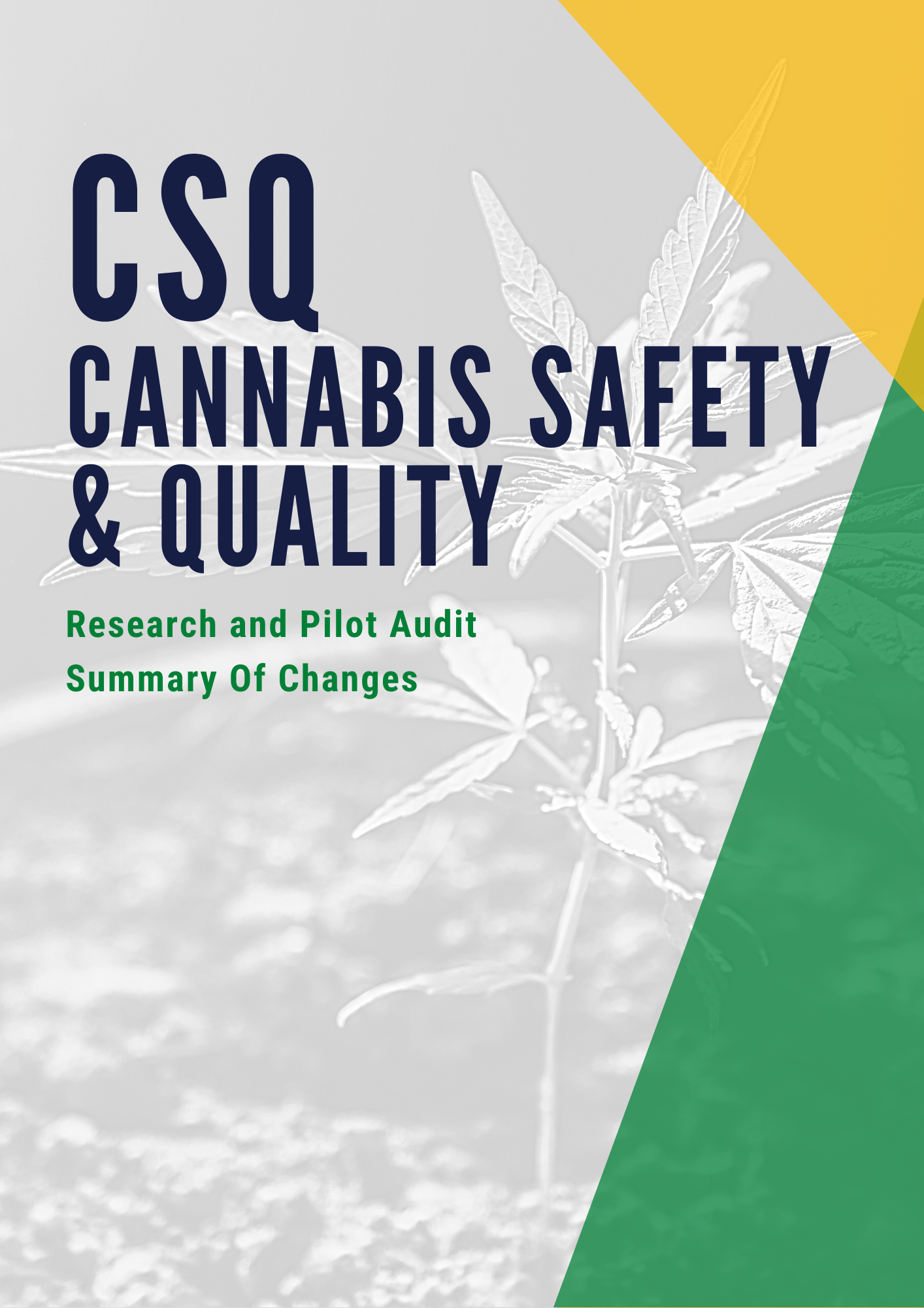 Research and Pilot Audit Summary Of Changes 1