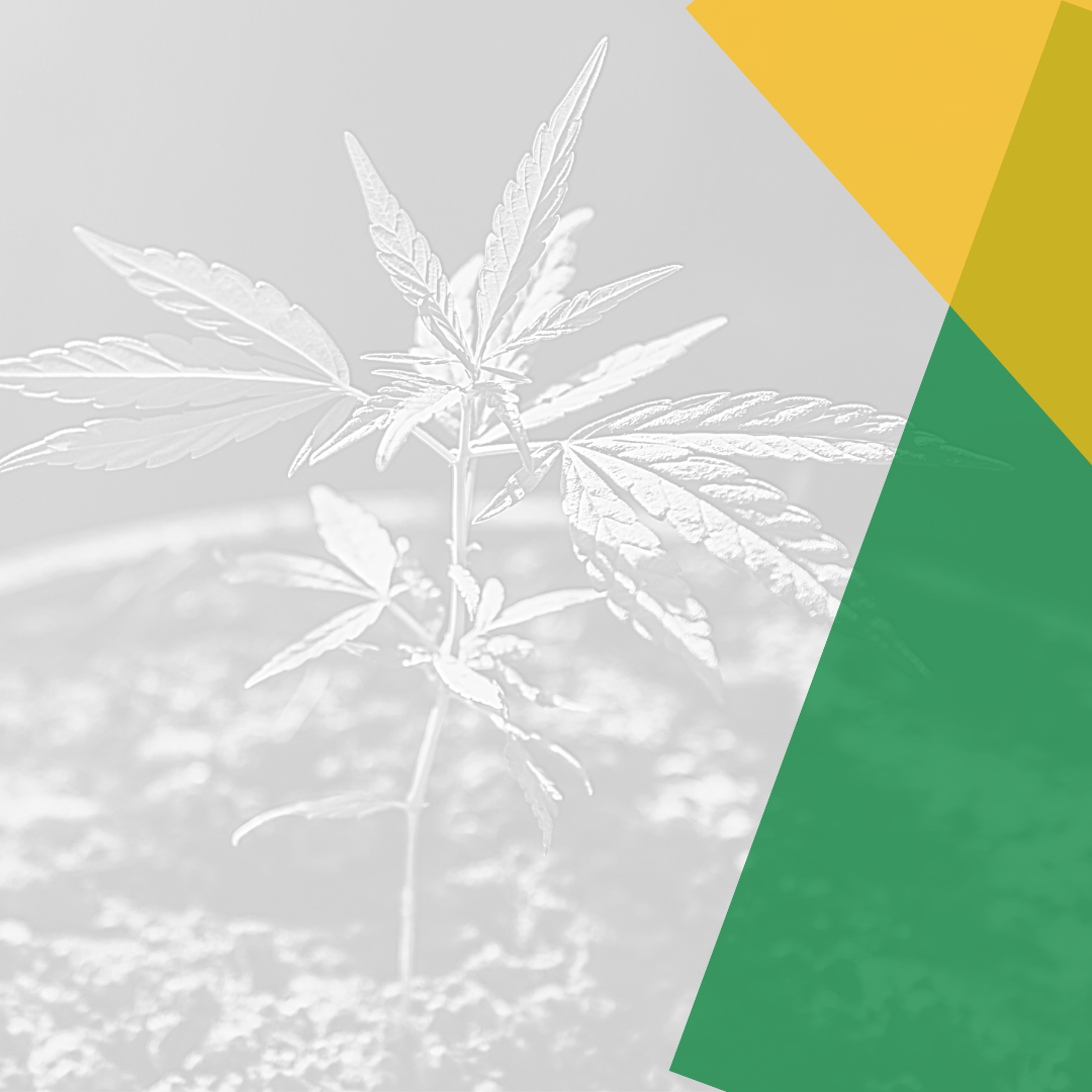 SMALL PIC Research and Pilot Audit Summary Of Changes